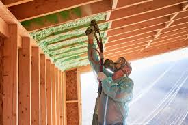 Best Thermal Imaging for Insulation Gaps  in Carlsbad, NM